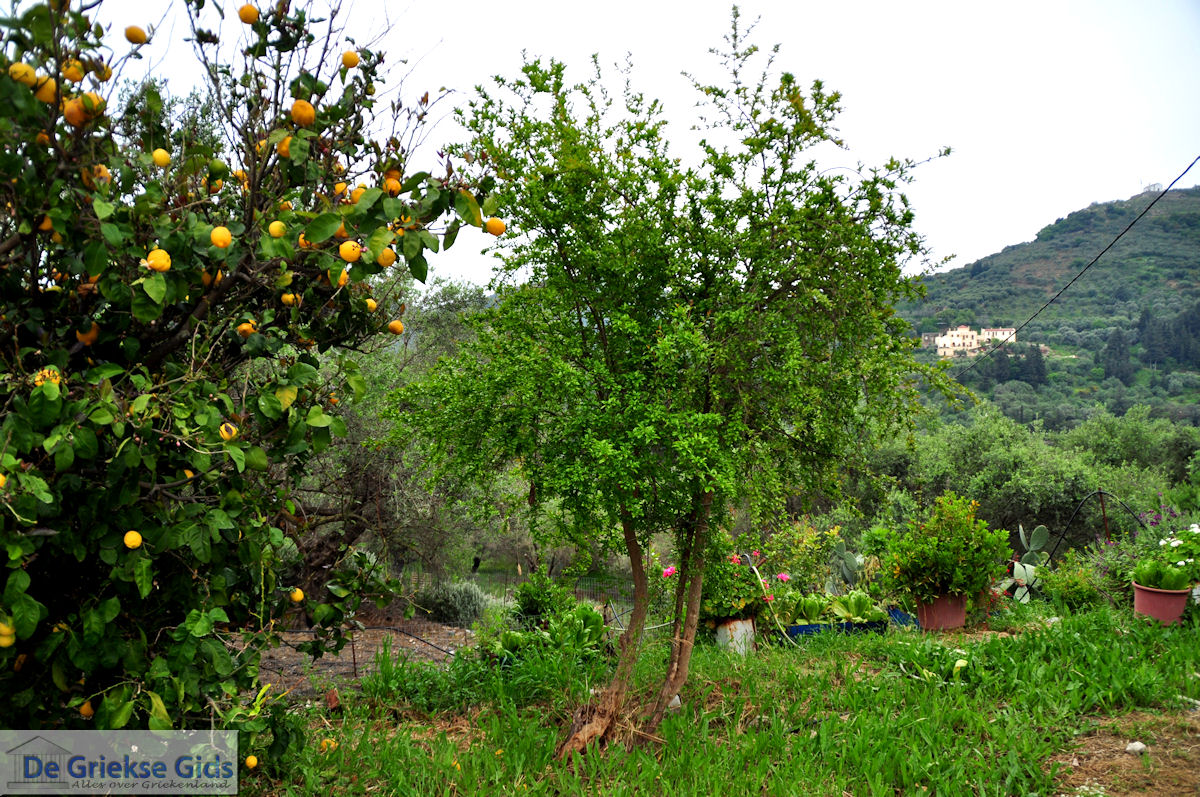 Traditioneel dorp Topolia | Chania Kreta | Foto 14