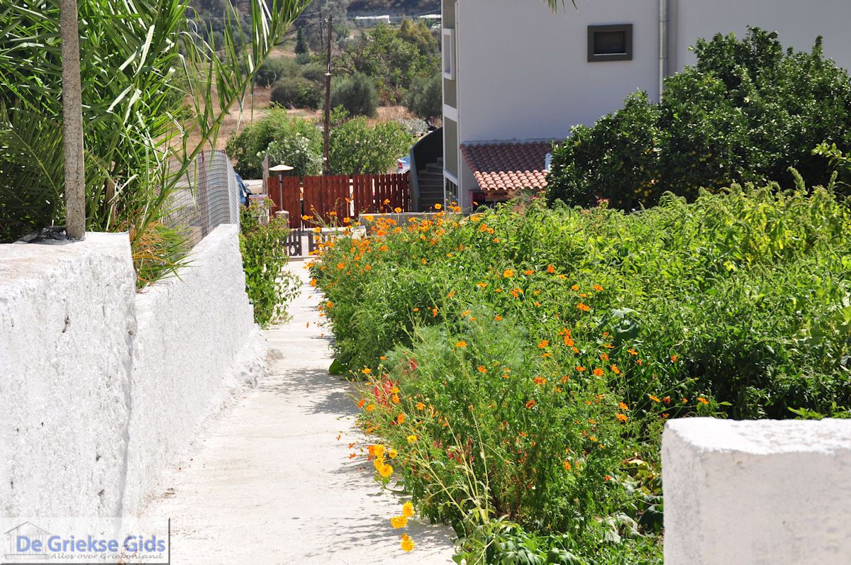 Vori Heraklion Kreta - Foto 10