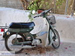 GriechenlandWeb Vori Heraklion Kreta - Foto 8 - Foto GriechenlandWeb.de