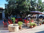 GriechenlandWeb Vori Heraklion Kreta - Foto GriechenlandWeb.de
