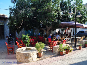 Vori Heraklion Kreta - Foto 26 - Foto van https://www.grieksegids.nl/fotos/eiland-kreta/fotos/vori-kreta/350pixels/vori-zuid-kreta-026.jpg