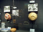 GriechenlandWeb Vori Heraklion Kreta - Foto GriechenlandWeb.de