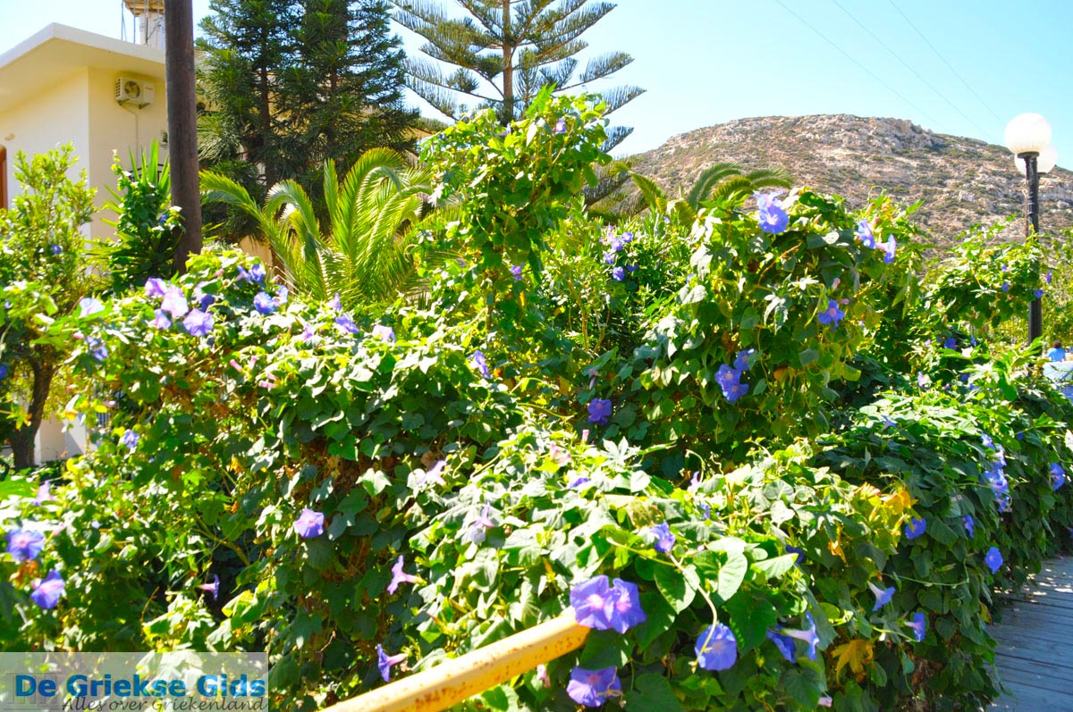 Matala | Zuid Kreta Griekenland 3