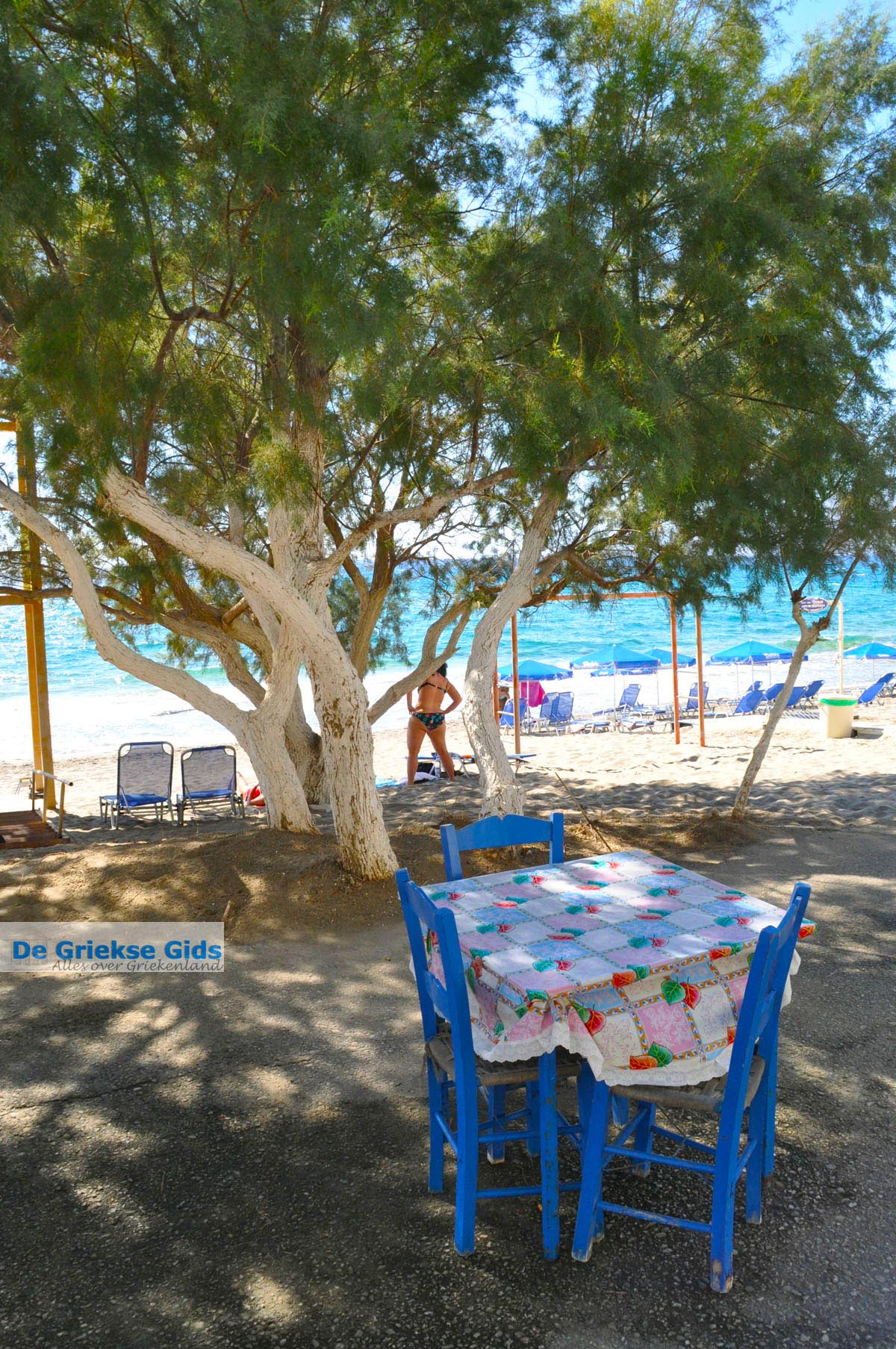 Kalamaki Kreta | Zuid Kreta Griekenland 31