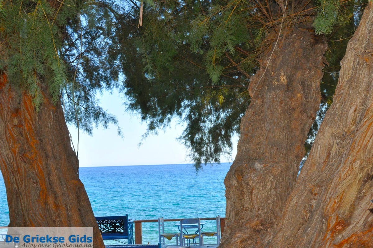 foto Lendas (Lentas) | Zuid Kreta Griekenland 41