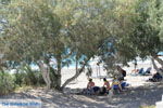 GriechenlandWeb.de Kalamaki Kreta | Südkreta | GriechenlandWeb.de foto 6 - Foto GriechenlandWeb.de