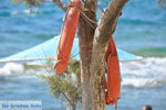 GriechenlandWeb.de Kalamaki Kreta | Südkreta | GriechenlandWeb.de foto 30 - Foto GriechenlandWeb.de