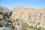 Preveli | Zuid Kreta Griekenland 5 - Foto van De Griekse Gids