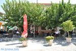 GriechenlandWeb.de Messara Ebene Heraklion Kreta - Foto GriechenlandWeb.de