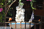 GriechenlandWeb Pitsidia Heraklion Kreta - Foto GriechenlandWeb.de