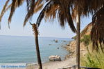 GriechenlandWeb Agios Georgios Rethymnon Kreta - Foto GriechenlandWeb.de