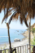 GriechenlandWeb Agios Georgios Rethymnon Kreta - Foto GriechenlandWeb.de