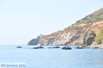 GriechenlandWeb.de Agios Georgios | Südkreta | GriechenlandWeb.de foto 38 - Foto GriechenlandWeb.de