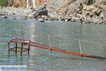 GriechenlandWeb Agios Georgios Rethymnon Kreta - Foto GriechenlandWeb.de