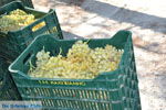 GriechenlandWeb.de Panagia Kaliviani Mires| Südkreta | GriechenlandWeb.de foto 21 - Foto GriechenlandWeb.de