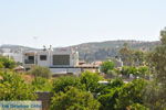 Vori | Zuid Kreta Griekenland 51 - Foto van De Griekse Gids