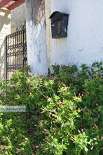 GriechenlandWeb Kamilari Heraklion Kreta - Foto GriechenlandWeb.de