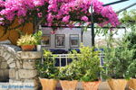 GriechenlandWeb.de Kamilari Heraklion Kreta - Foto GriechenlandWeb.de