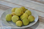 Foto Heraklion Kreta Kreta GriechenlandWeb - Foto GriechenlandWeb.de