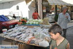 GriechenlandWeb.de Messara Ebene Heraklion Kreta - Foto GriechenlandWeb.de