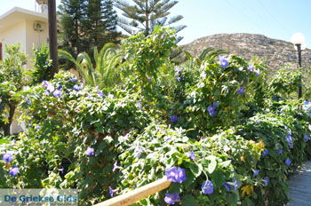 Matala | Zuid Kreta Griekenland 3 - Foto van https://www.grieksegids.nl/fotos/eiland-kreta/fotos/zuidkreta/normaal/zuid-kreta-grieksegids-0003.jpg