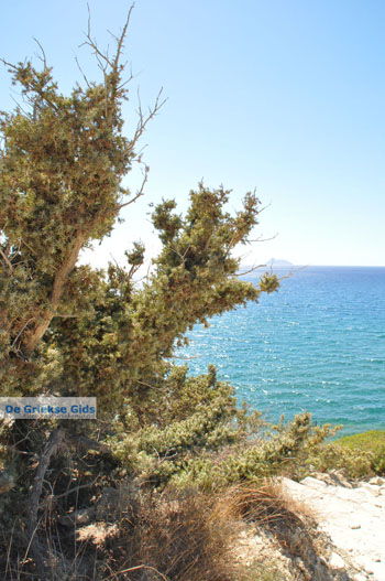 Komos | Zuid Kreta Griekenland 7 - Foto van https://www.grieksegids.nl/fotos/eiland-kreta/fotos/zuidkreta/normaal/zuid-kreta-grieksegids-0035.jpg