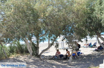 Kalamaki Kreta | Zuid Kreta Griekenland 6 - Foto van https://www.grieksegids.nl/fotos/eiland-kreta/fotos/zuidkreta/normaal/zuid-kreta-grieksegids-0039.jpg