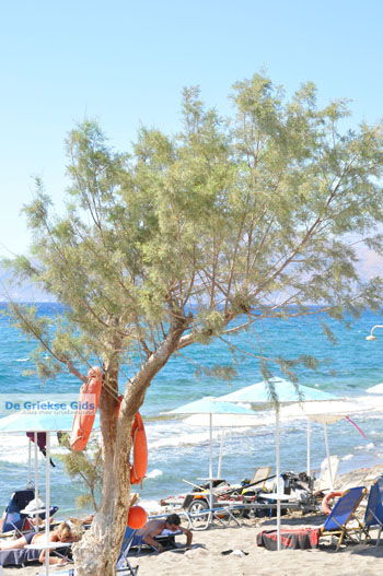Kalamaki Kreta | Zuid Kreta Griekenland 28 - Foto van https://www.grieksegids.nl/fotos/eiland-kreta/fotos/zuidkreta/normaal/zuid-kreta-grieksegids-0061.jpg