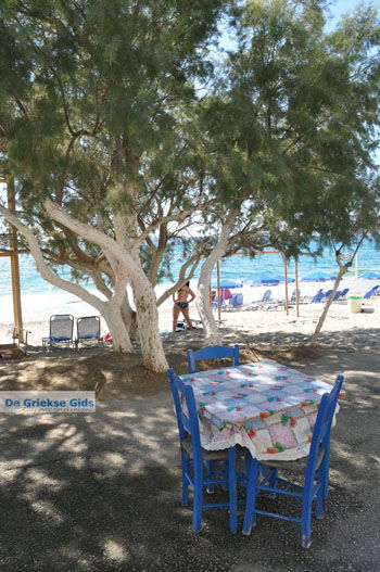 Kalamaki Kreta | Zuid Kreta Griekenland 31 - Foto van https://www.grieksegids.nl/fotos/eiland-kreta/fotos/zuidkreta/normaal/zuid-kreta-grieksegids-0064.jpg