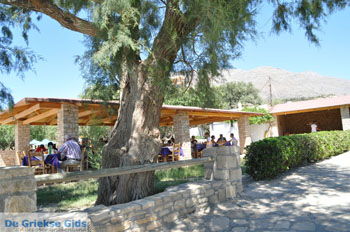 Onderweg van Triopetra naar Akoumia | Zuid Kreta Griekenland 1 - Foto van https://www.grieksegids.nl/fotos/eiland-kreta/fotos/zuidkreta/normaal/zuid-kreta-grieksegids-0195.jpg