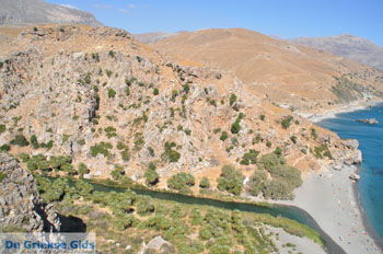 Preveli | Zuid Kreta Griekenland 2 - Foto van https://www.grieksegids.nl/fotos/eiland-kreta/fotos/zuidkreta/normaal/zuid-kreta-grieksegids-0246.jpg