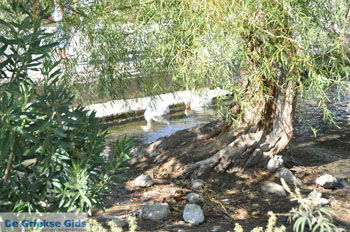 Preveli | Zuid Kreta Griekenland 21 - Foto van https://www.grieksegids.nl/fotos/eiland-kreta/fotos/zuidkreta/normaal/zuid-kreta-grieksegids-0265.jpg