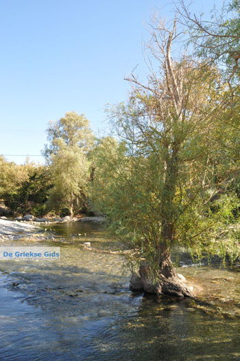 Preveli | Zuid Kreta Griekenland 28 - Foto van https://www.grieksegids.nl/fotos/eiland-kreta/fotos/zuidkreta/normaal/zuid-kreta-grieksegids-0272.jpg