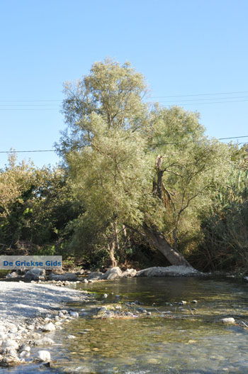 Preveli | Zuid Kreta Griekenland 29 - Foto van https://www.grieksegids.nl/fotos/eiland-kreta/fotos/zuidkreta/normaal/zuid-kreta-grieksegids-0273.jpg