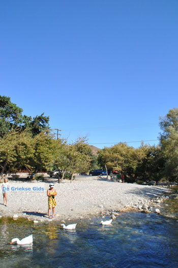 Preveli | Zuid Kreta Griekenland 31 - Foto van https://www.grieksegids.nl/fotos/eiland-kreta/fotos/zuidkreta/normaal/zuid-kreta-grieksegids-0275.jpg