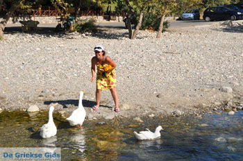 Preveli | Zuid Kreta Griekenland 32 - Foto van https://www.grieksegids.nl/fotos/eiland-kreta/fotos/zuidkreta/normaal/zuid-kreta-grieksegids-0276.jpg