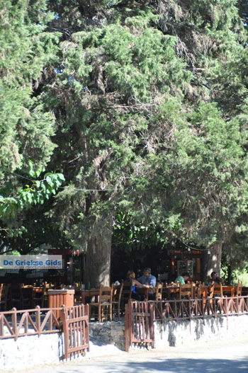 Preveli | Zuid Kreta Griekenland 33 - Foto van https://www.grieksegids.nl/fotos/eiland-kreta/fotos/zuidkreta/normaal/zuid-kreta-grieksegids-0277.jpg