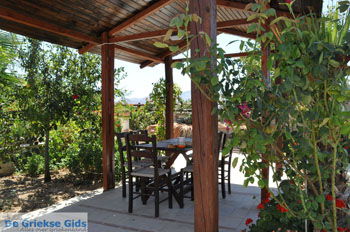 Villa Kapariana bij Mires | Zuid Kreta Griekenland 3 - Foto van https://www.grieksegids.nl/fotos/eiland-kreta/fotos/zuidkreta/normaal/zuid-kreta-grieksegids-0414.jpg