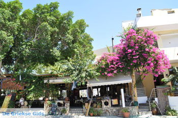 Pitsidia | Zuid Kreta Griekenland 2 - Foto van https://www.grieksegids.nl/fotos/eiland-kreta/fotos/zuidkreta/normaal/zuid-kreta-grieksegids-0447.jpg