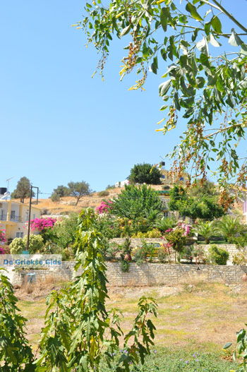 Pitsidia | Zuid Kreta Griekenland 4 - Foto van https://www.grieksegids.nl/fotos/eiland-kreta/fotos/zuidkreta/normaal/zuid-kreta-grieksegids-0449.jpg