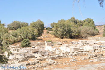 Komos | Zuid Kreta Griekenland 40 - Foto van https://www.grieksegids.nl/fotos/eiland-kreta/fotos/zuidkreta/normaal/zuid-kreta-grieksegids-0486.jpg