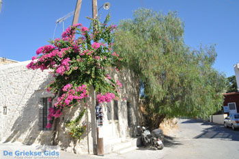 Sivas | Zuid Kreta Griekenland 2 - Foto van https://www.grieksegids.nl/fotos/eiland-kreta/fotos/zuidkreta/normaal/zuid-kreta-grieksegids-0501.jpg