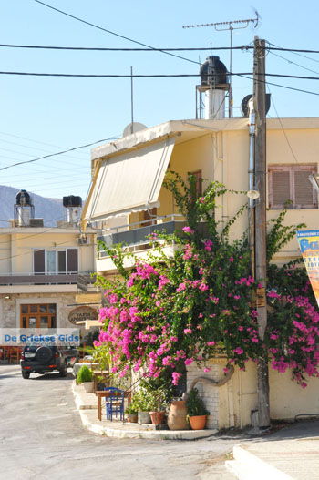 Sivas | Zuid Kreta Griekenland 6 - Foto van https://www.grieksegids.nl/fotos/eiland-kreta/fotos/zuidkreta/normaal/zuid-kreta-grieksegids-0505.jpg