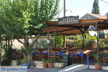 Sivas | Zuid Kreta Griekenland 15 - Foto van https://www.grieksegids.nl/fotos/eiland-kreta/fotos/zuidkreta/normaal/zuid-kreta-grieksegids-0514.jpg