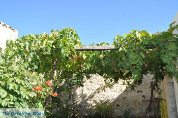 Klooster Odigitria | Zuid Kreta Griekenland 15 - Foto van https://www.grieksegids.nl/fotos/eiland-kreta/fotos/zuidkreta/normaal/zuid-kreta-grieksegids-0529.jpg