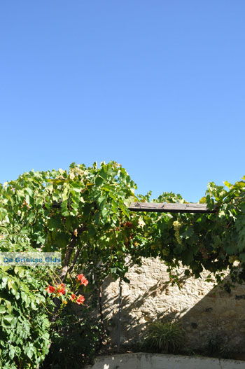 Klooster Odigitria | Zuid Kreta Griekenland 16 - Foto van https://www.grieksegids.nl/fotos/eiland-kreta/fotos/zuidkreta/normaal/zuid-kreta-grieksegids-0530.jpg