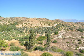 Klooster Odigitria | Zuid Kreta Griekenland 21 - Foto van https://www.grieksegids.nl/fotos/eiland-kreta/fotos/zuidkreta/normaal/zuid-kreta-grieksegids-0535.jpg