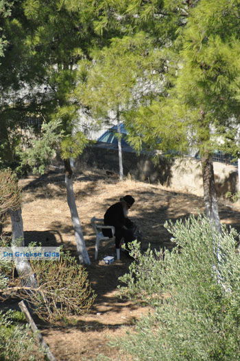 Klooster Odigitria | Zuid Kreta Griekenland 25 - Foto van https://www.grieksegids.nl/fotos/eiland-kreta/fotos/zuidkreta/normaal/zuid-kreta-grieksegids-0539.jpg