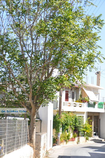 Pombia | Zuid Kreta Griekenland 8 - Foto van https://www.grieksegids.nl/fotos/eiland-kreta/fotos/zuidkreta/normaal/zuid-kreta-grieksegids-0574.jpg