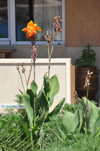 Kali Limenes | Zuid Kreta Griekenland 16 - Foto van https://www.grieksegids.nl/fotos/eiland-kreta/fotos/zuidkreta/normaal/zuid-kreta-grieksegids-0595.jpg